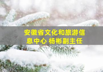 安徽省文化和旅游信息中心 杨彬副主任